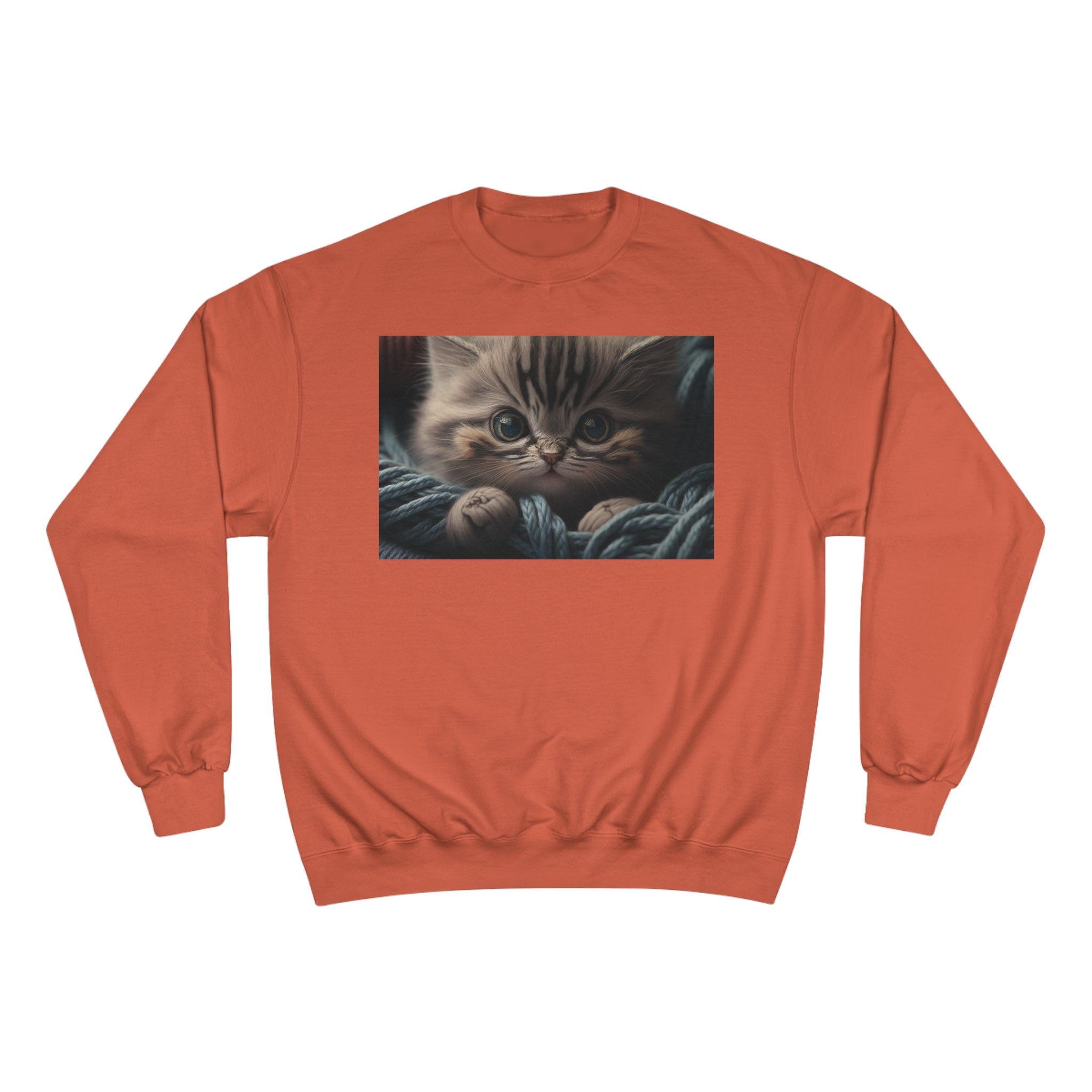Champion Sweatshirt - Knit Animals, Kitten