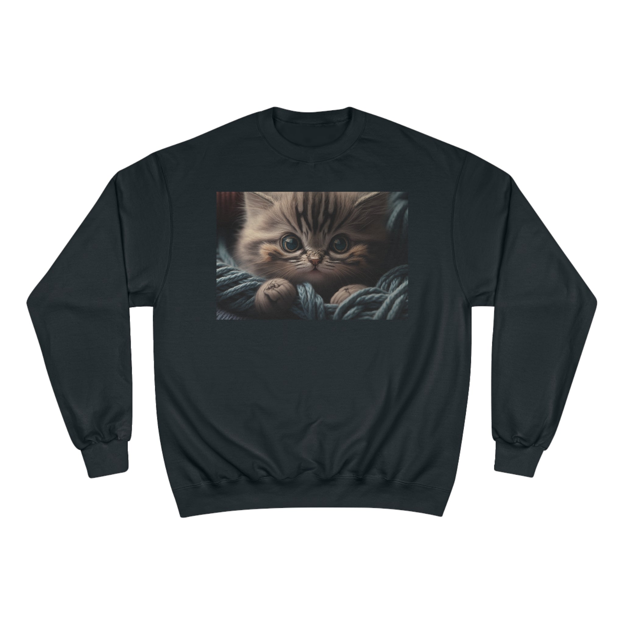 Champion Sweatshirt - Knit Animals, Kitten