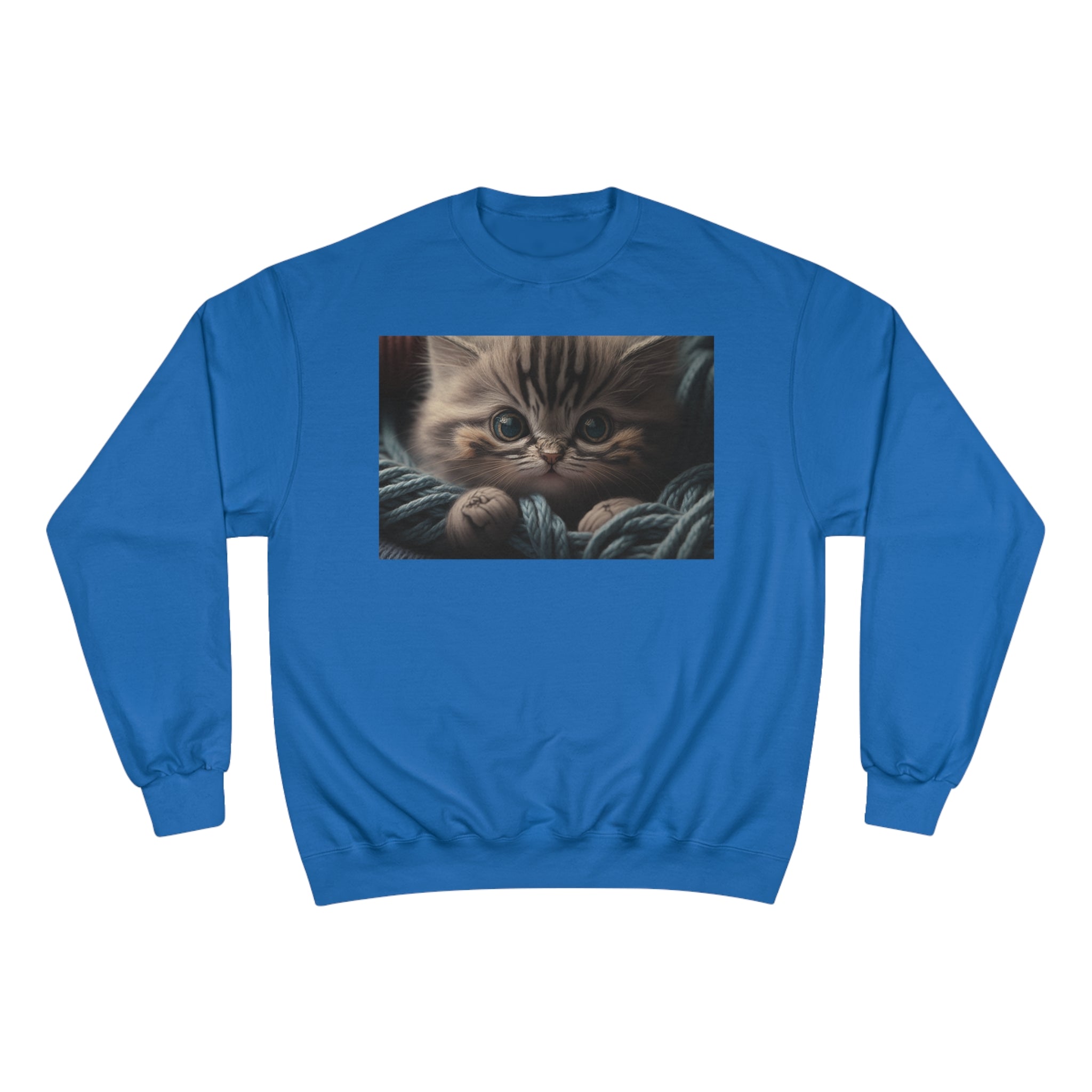 Champion Sweatshirt - Knit Animals, Kitten