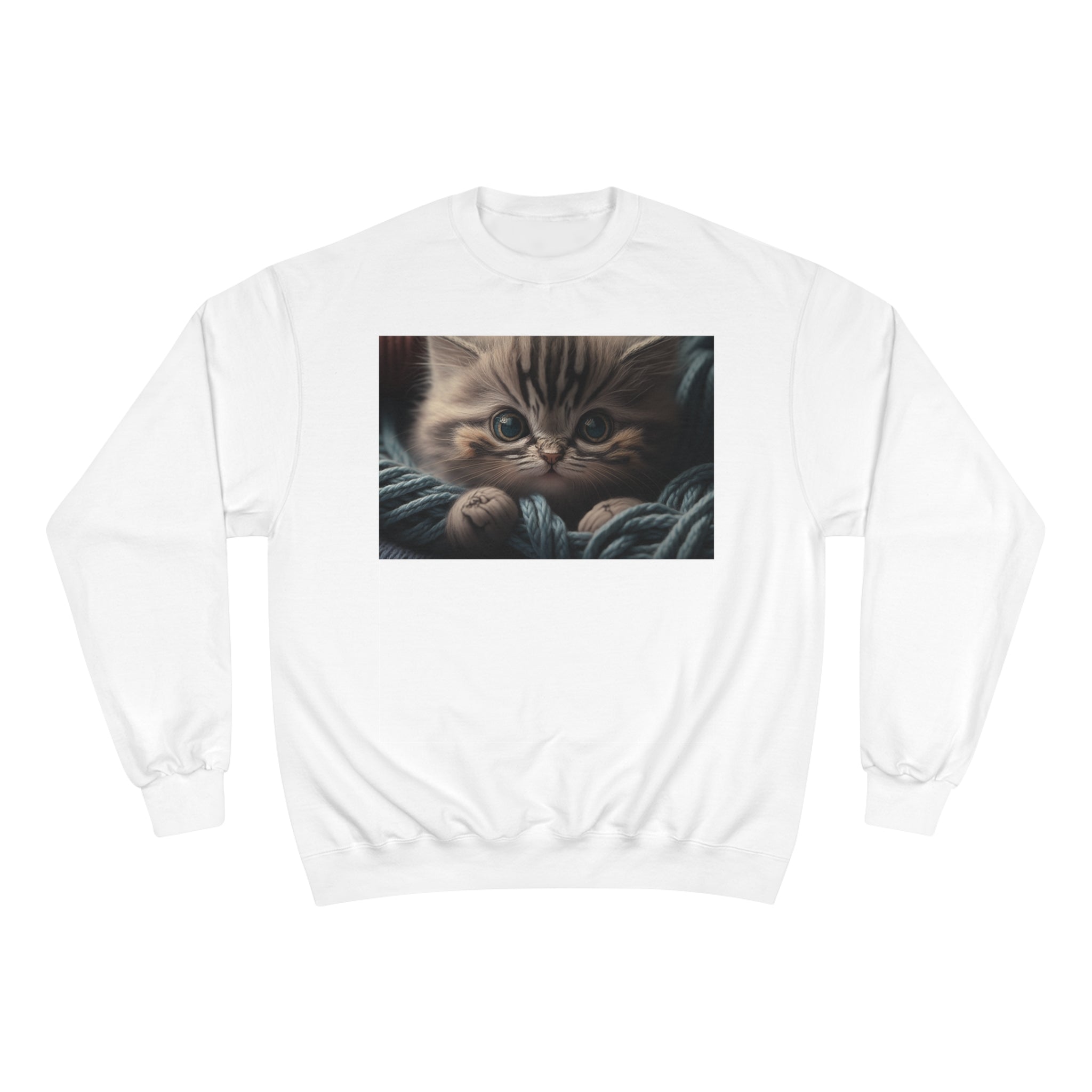 Champion Sweatshirt - Knit Animals, Kitten